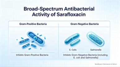Sarafloxacin CAS NO. 98105-99-8 Sarafloxacin CAS NO. 98105-99-8
