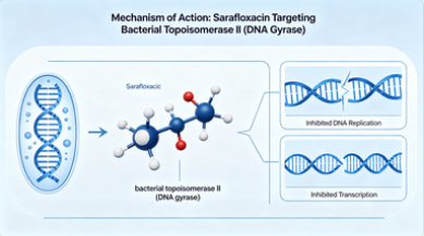 Sarafloxacin CAS NO. 98105-99-8 Sarafloxacin CAS NO. 98105-99-8
